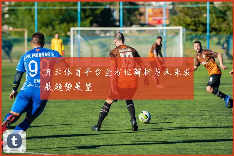 开云体育平台全方位解析与未来发展趋势展望